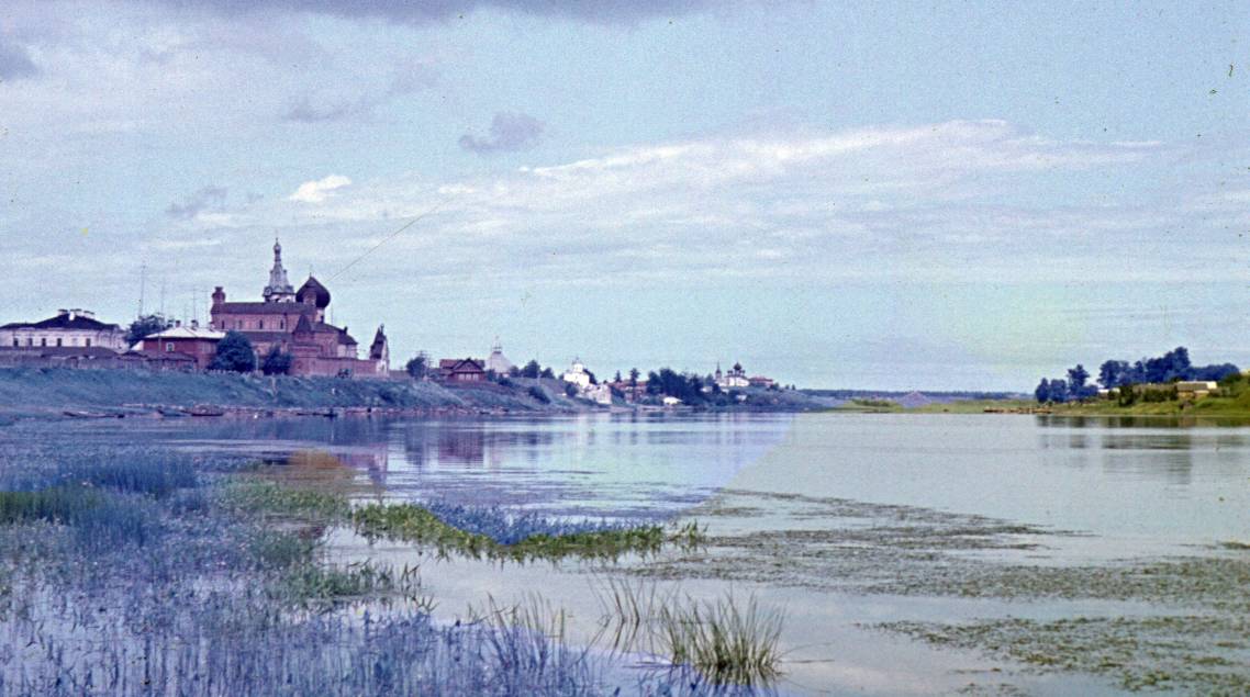 010.JPG