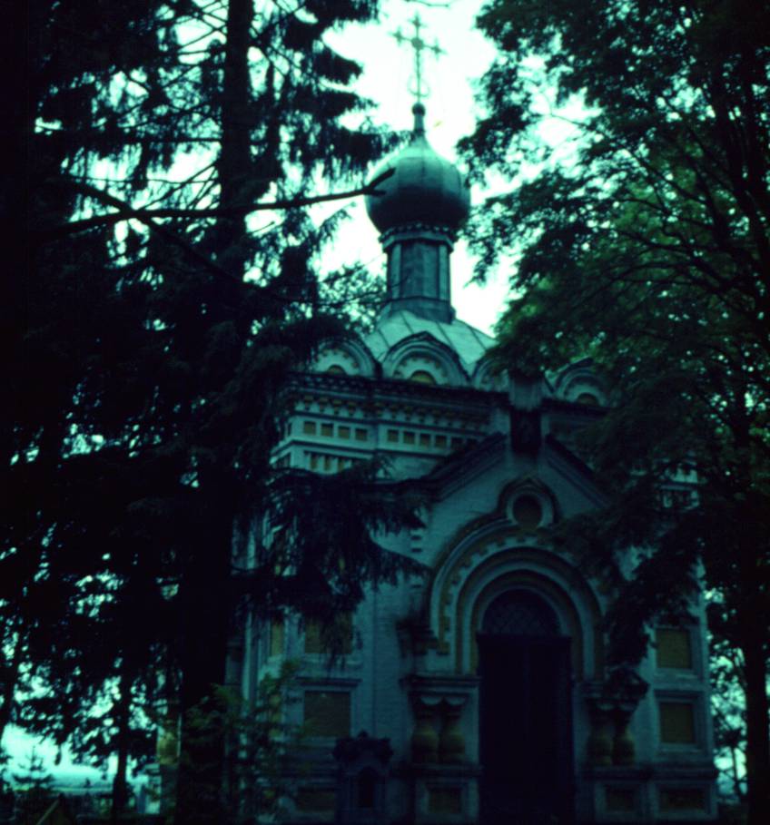 005.JPG
