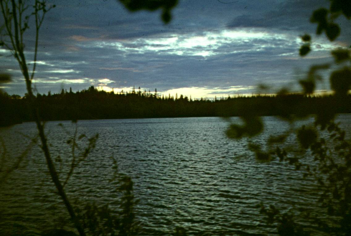 003.JPG