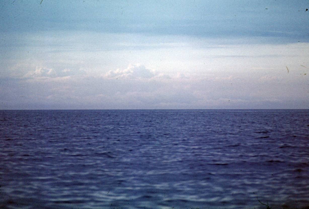 017.JPG