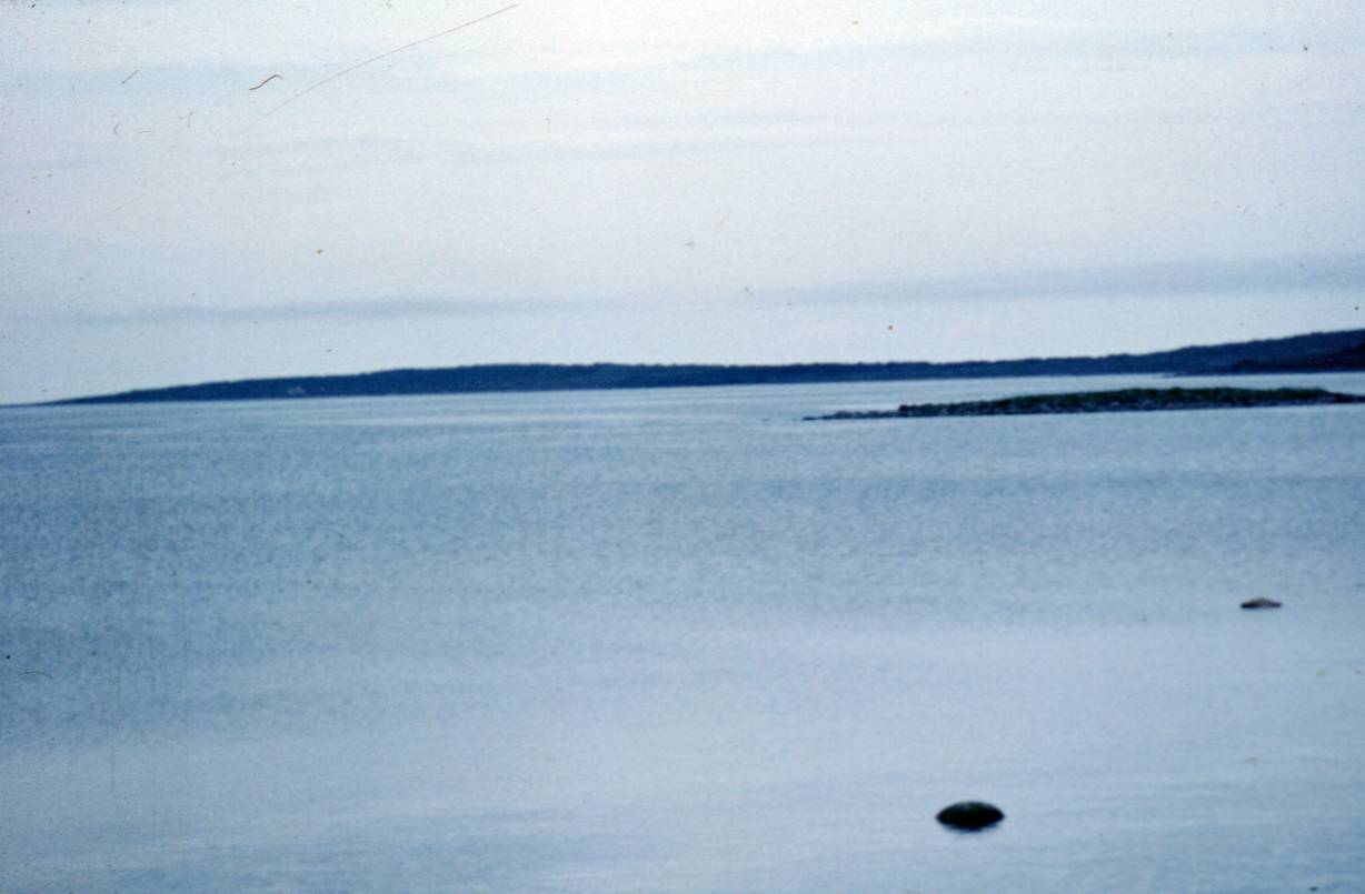 036.JPG