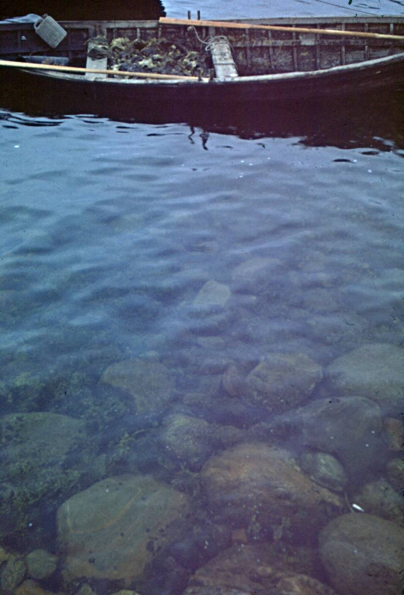 060.JPG