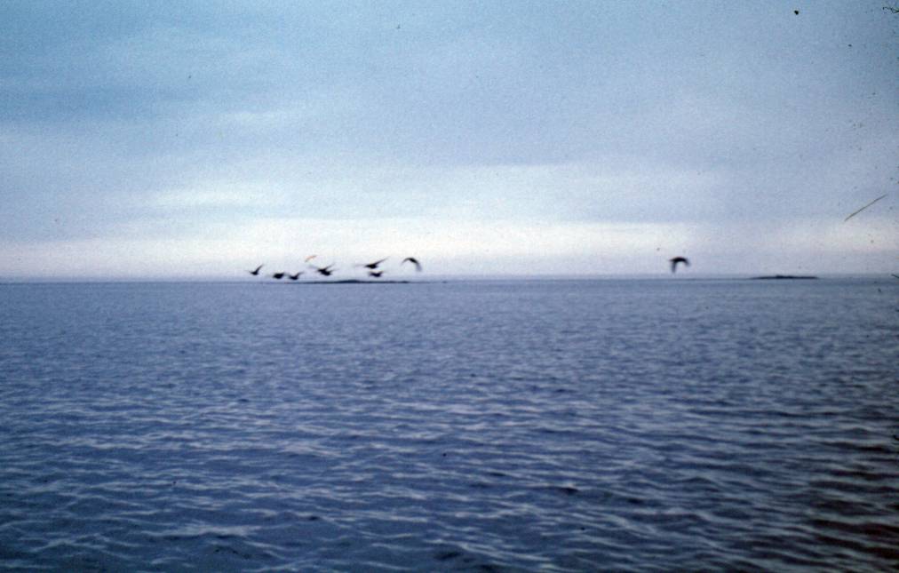 062.JPG