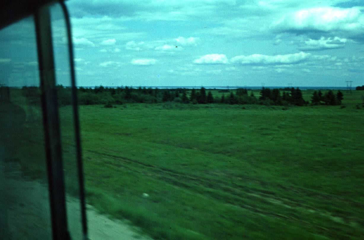 006.JPG