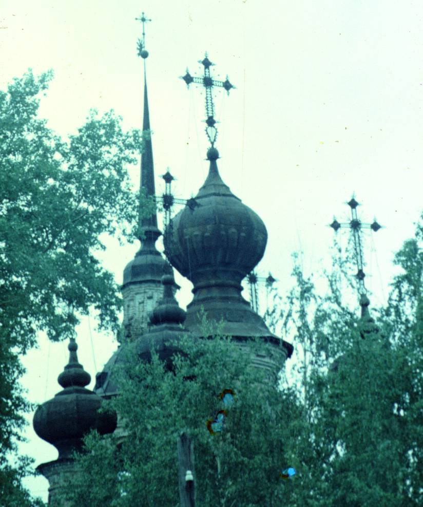 103.JPG