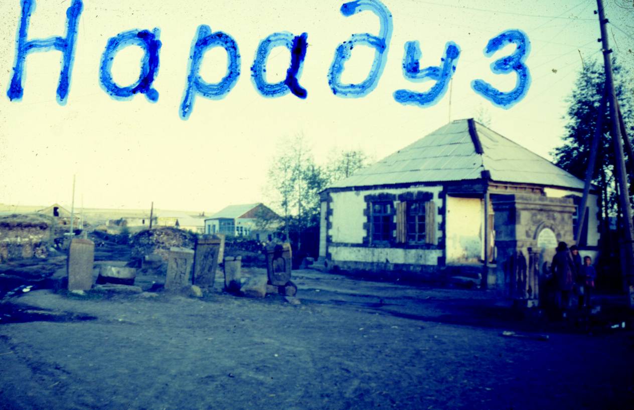 040.JPG