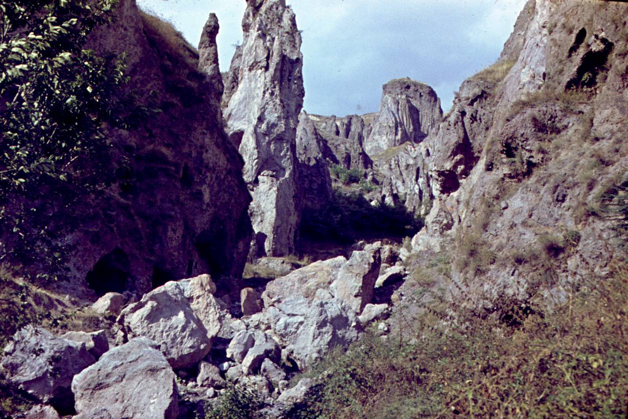 109.JPG