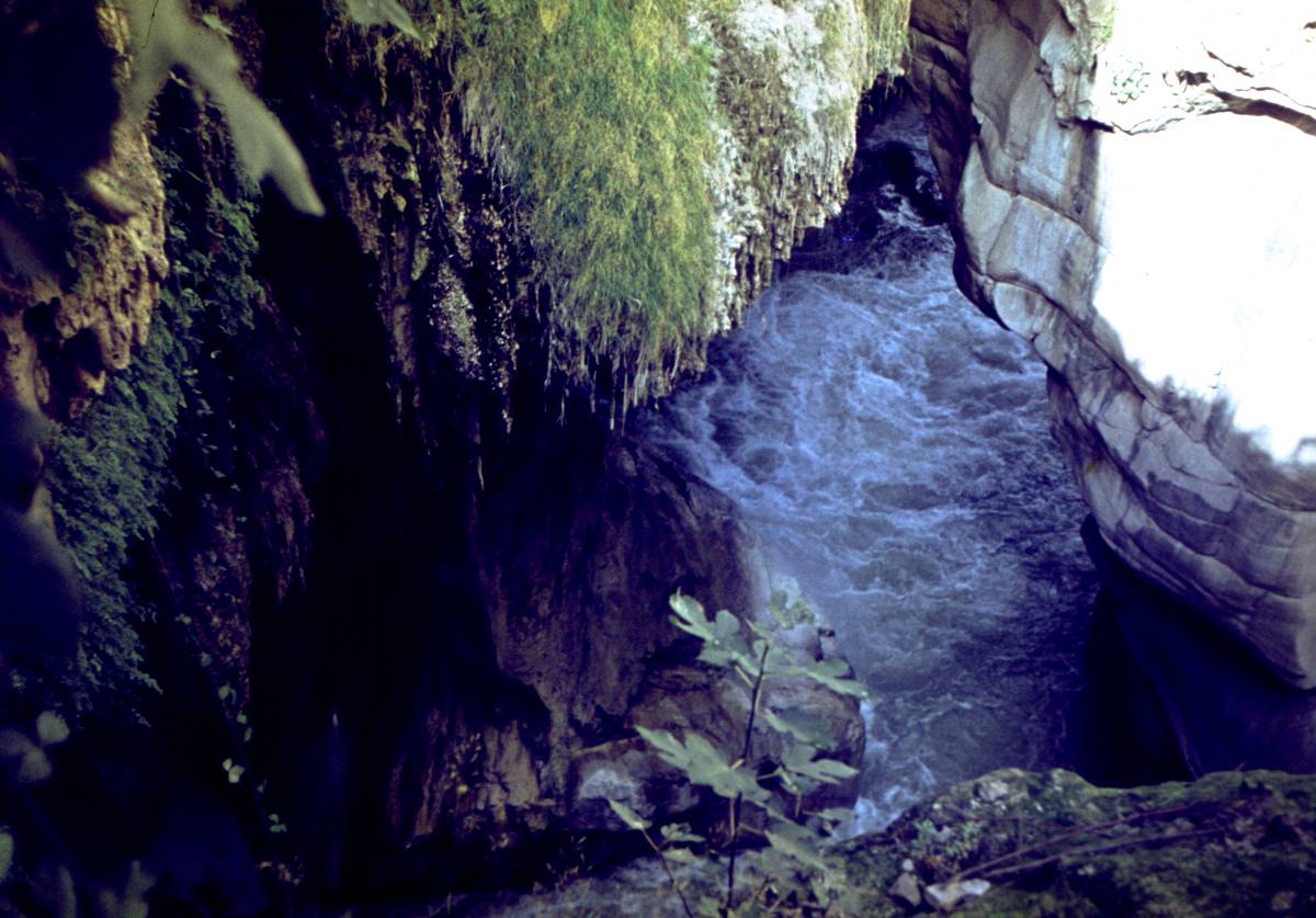 140.JPG