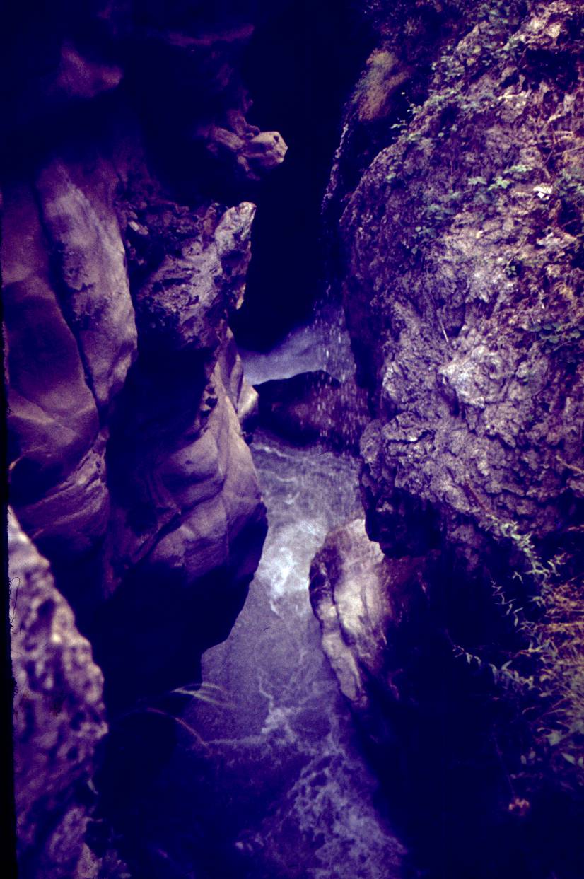 144.JPG