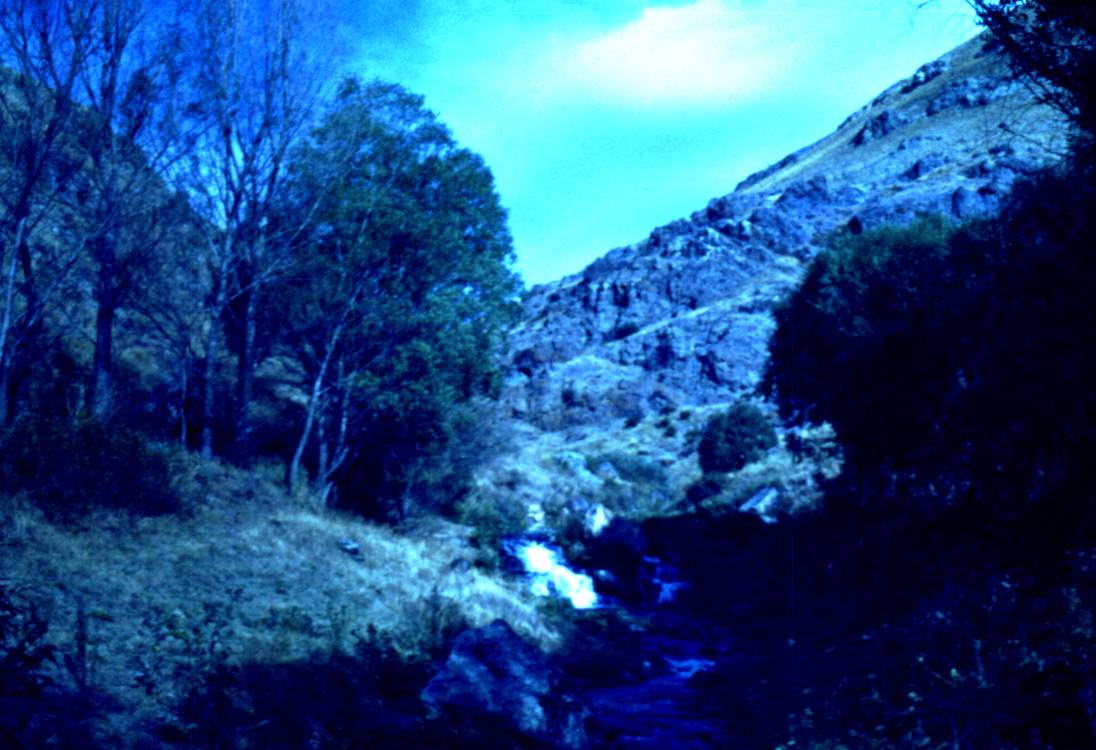 184.JPG