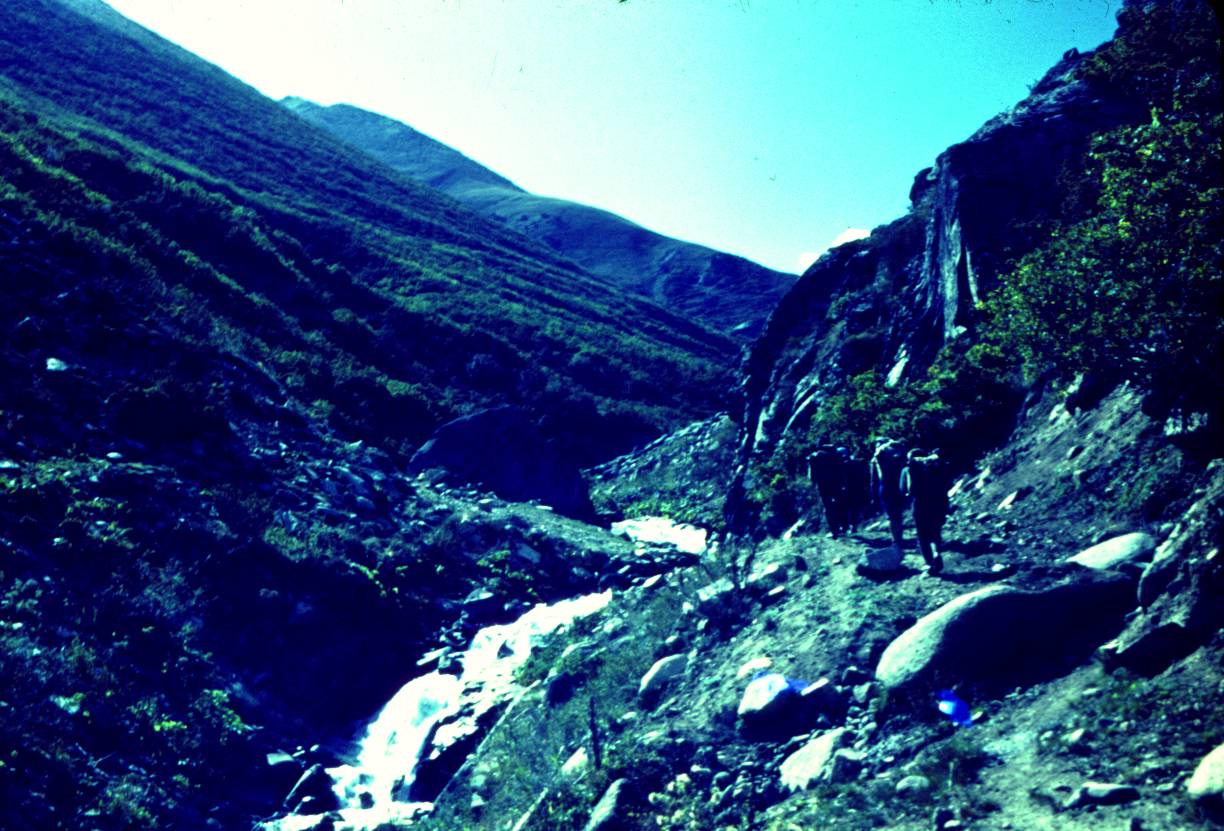 193.JPG