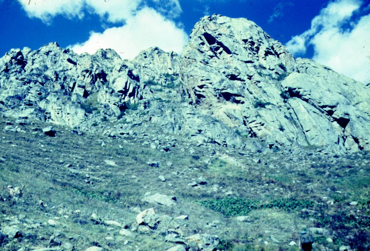 194.JPG