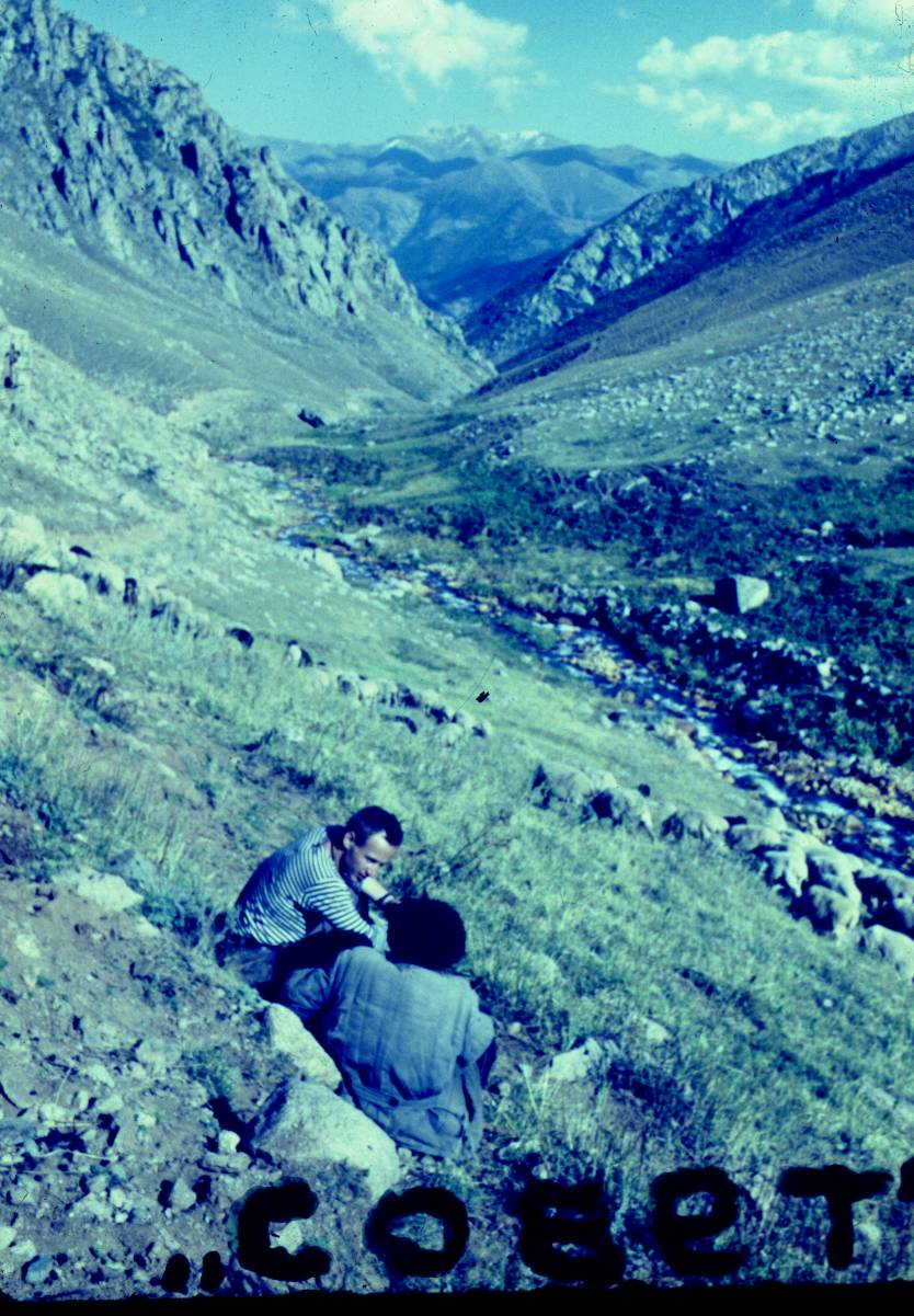 195.JPG