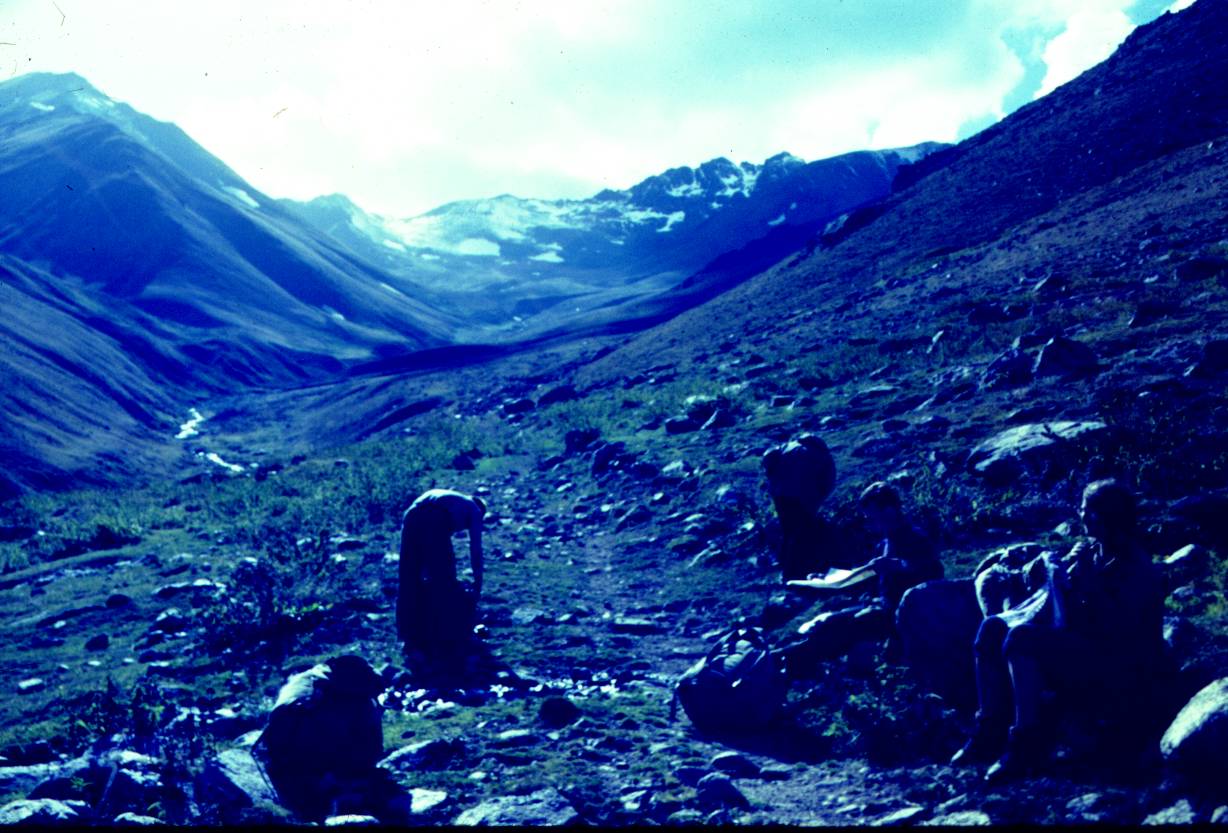 196.JPG