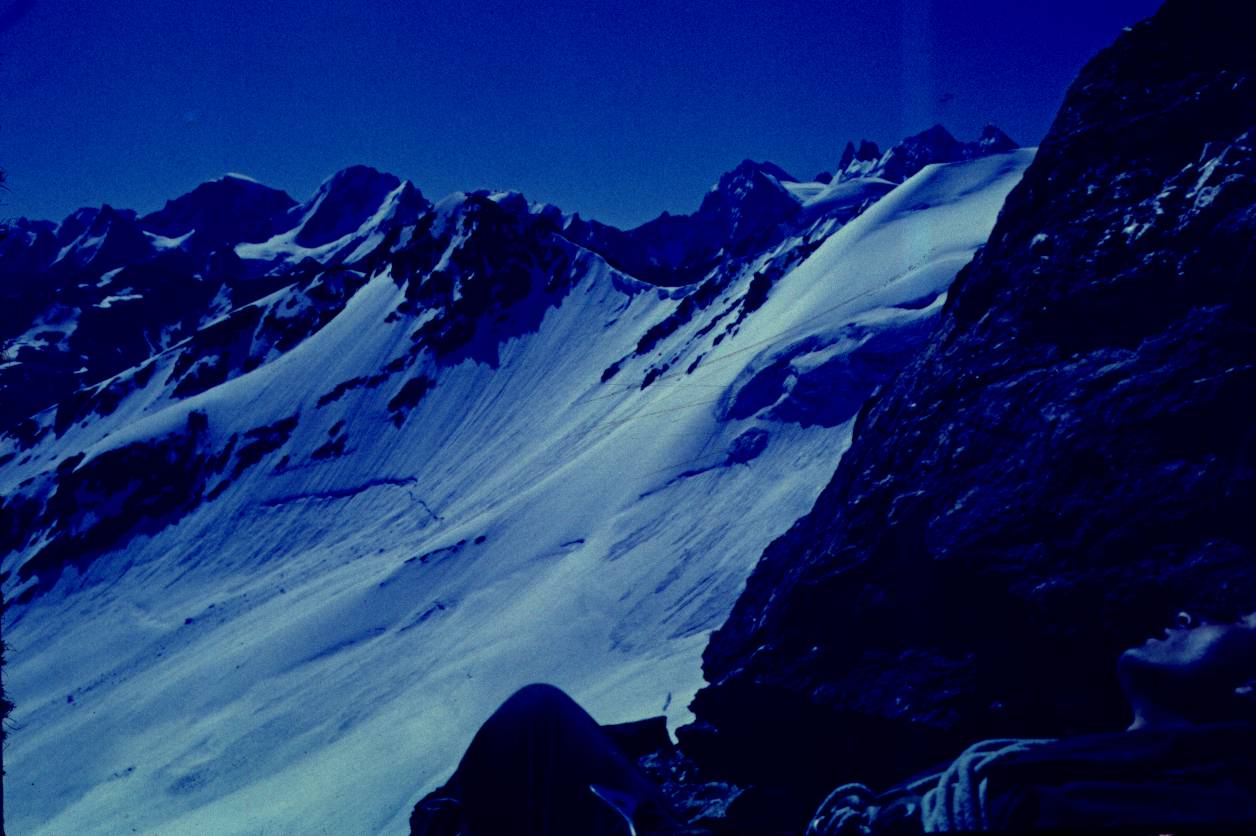 006.JPG