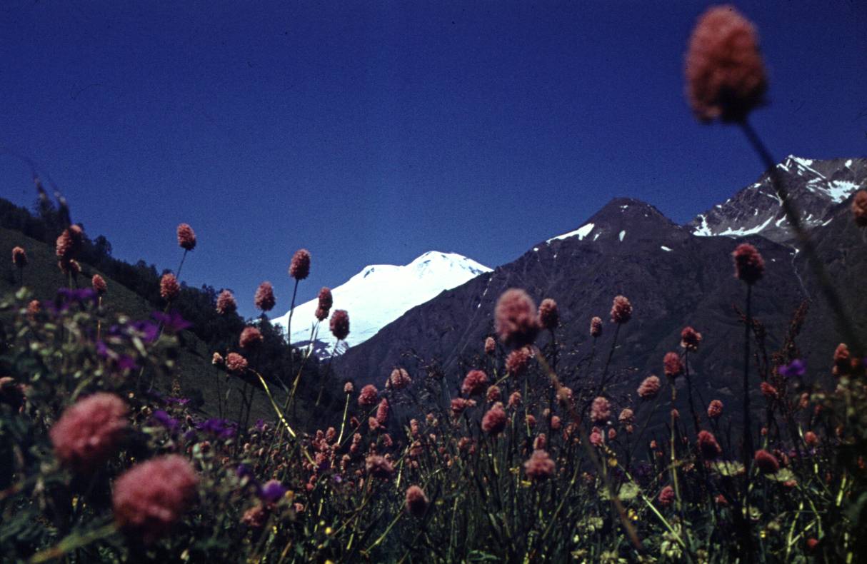 185.JPG