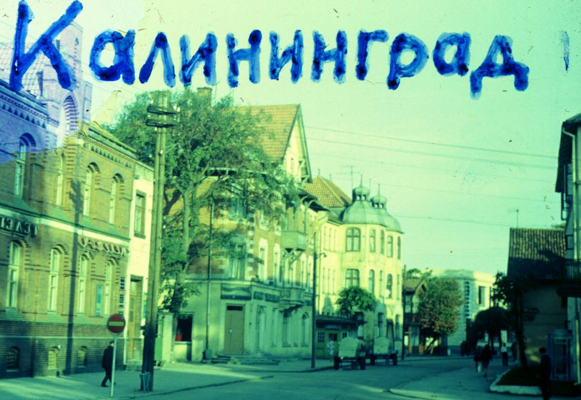 003.JPG