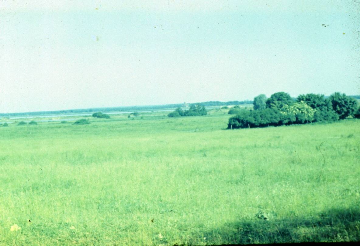 010.JPG