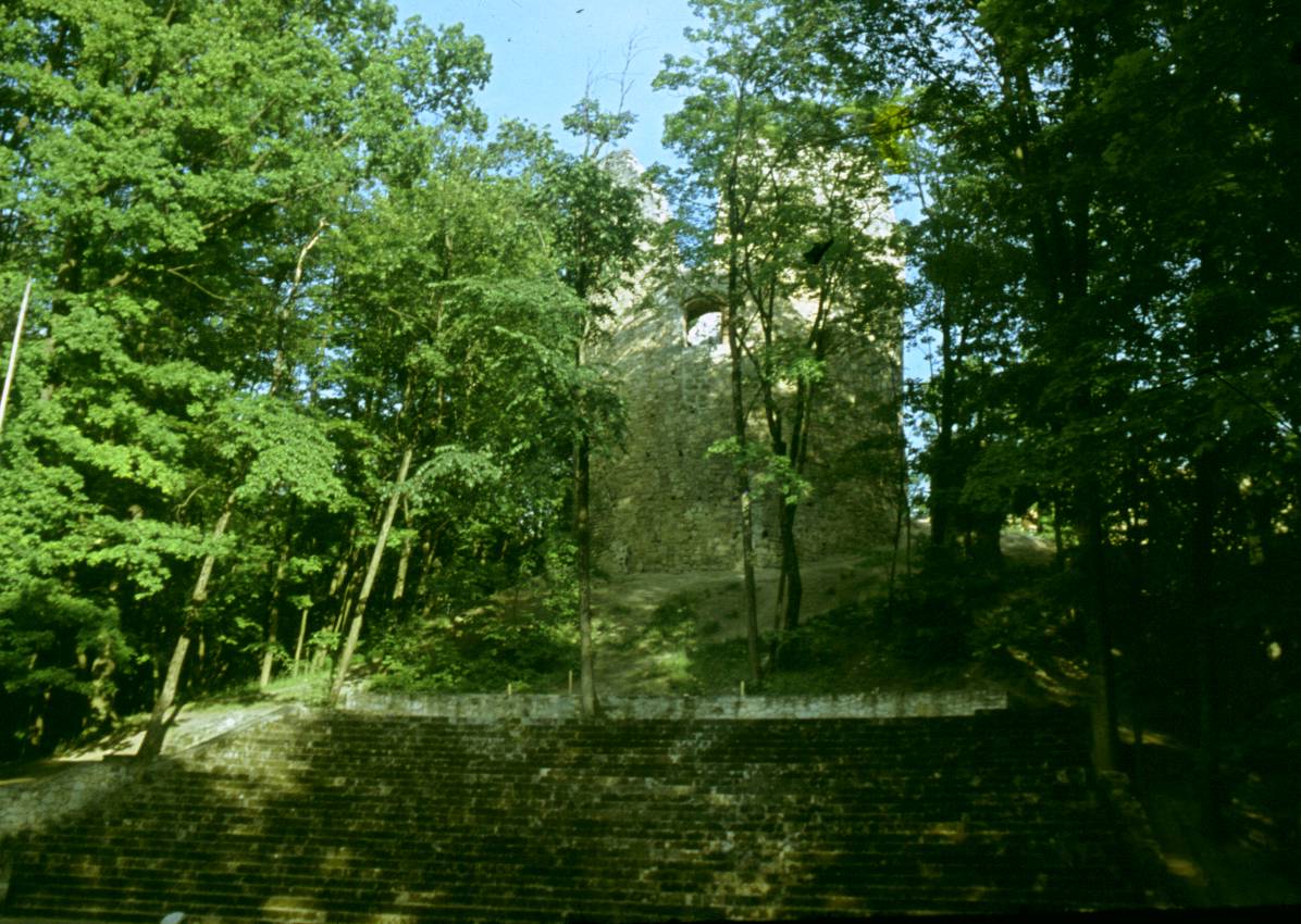 021.JPG
