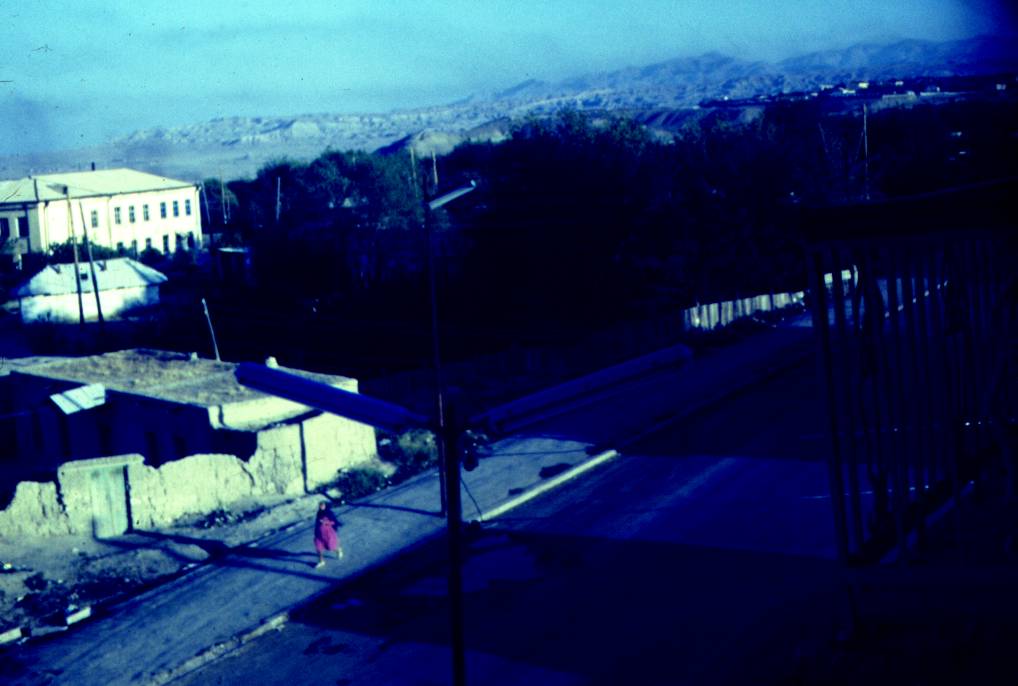 012.JPG