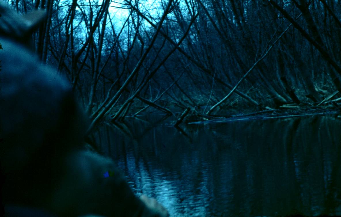 050.JPG