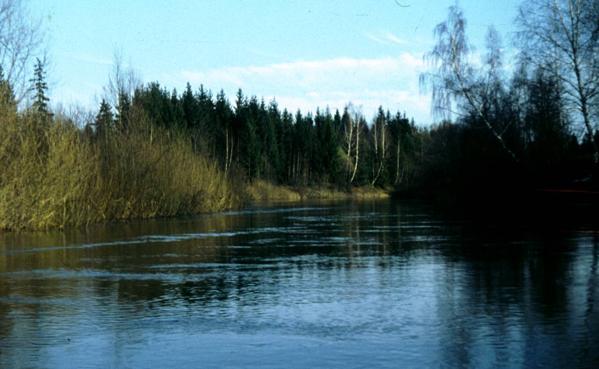 072.JPG