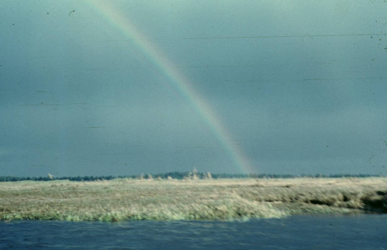 123.JPG