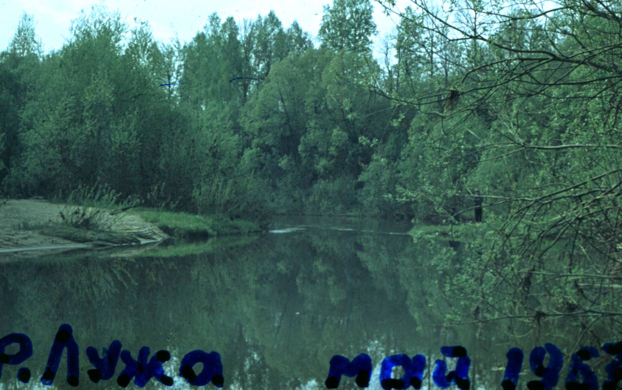129.JPG