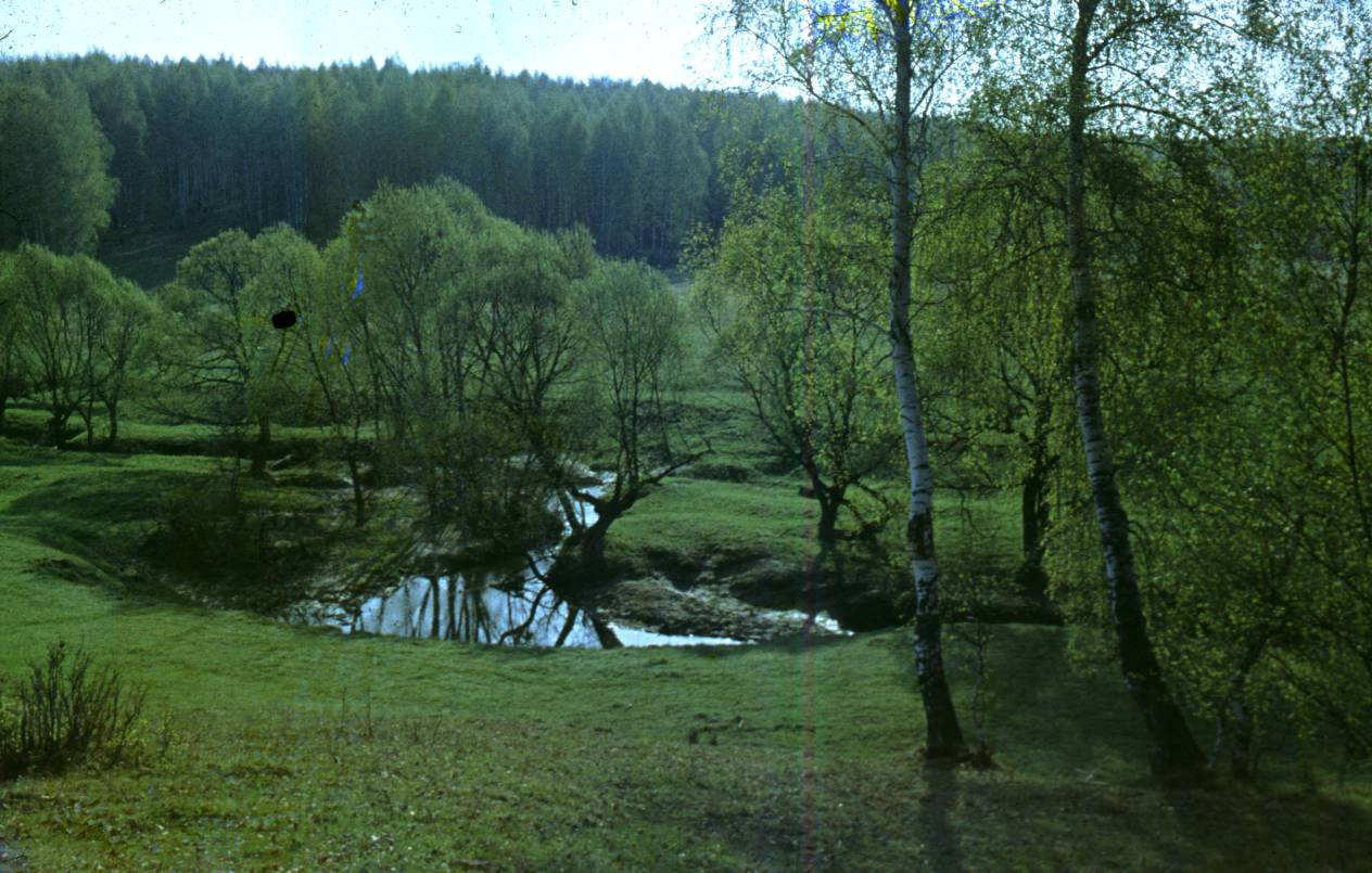 167.JPG