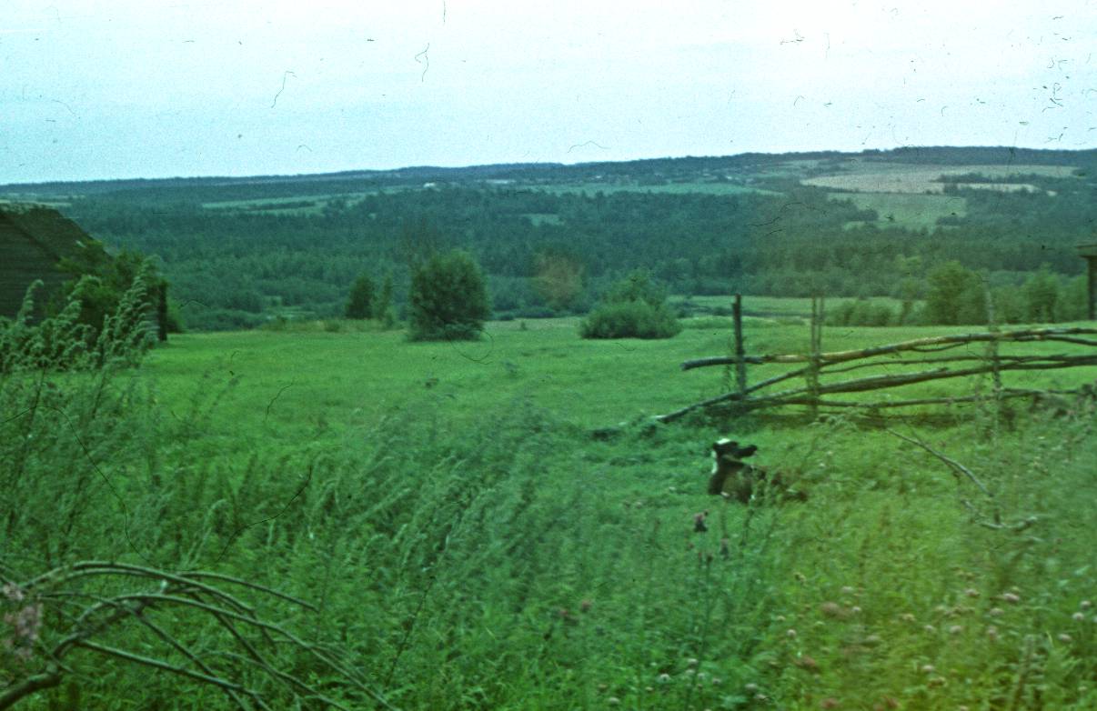 178.JPG