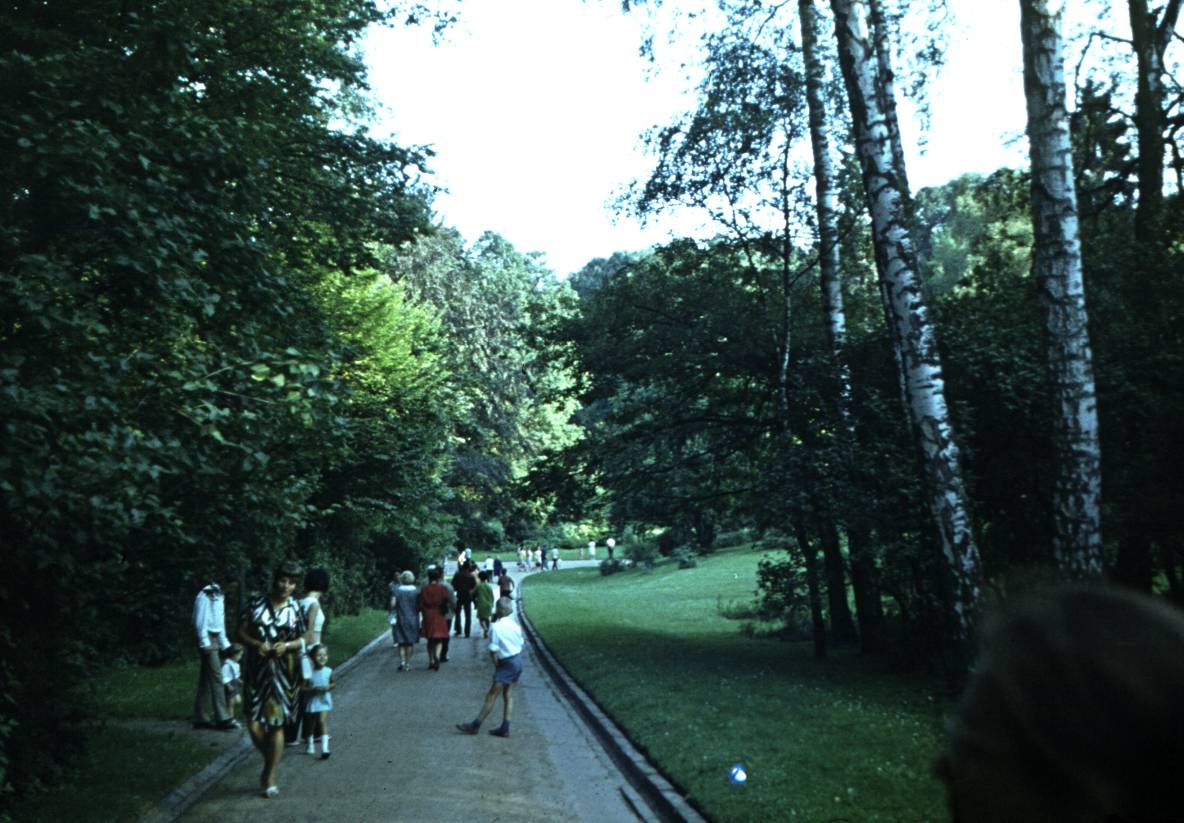 042.JPG