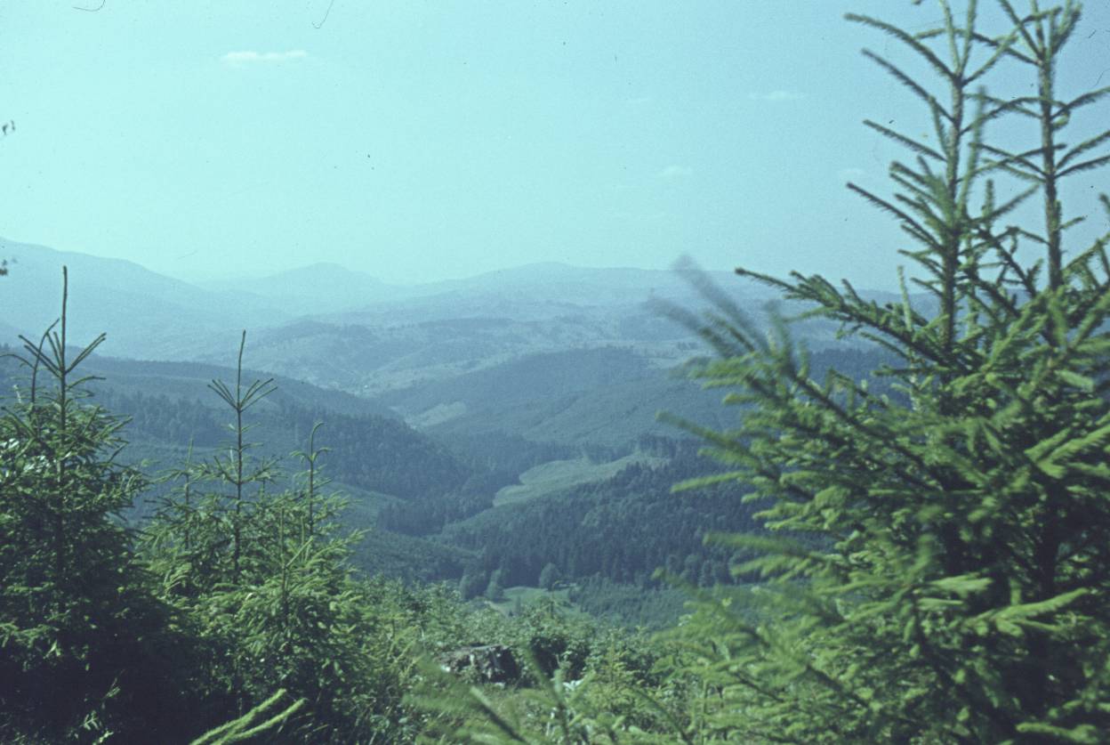 080.jpg