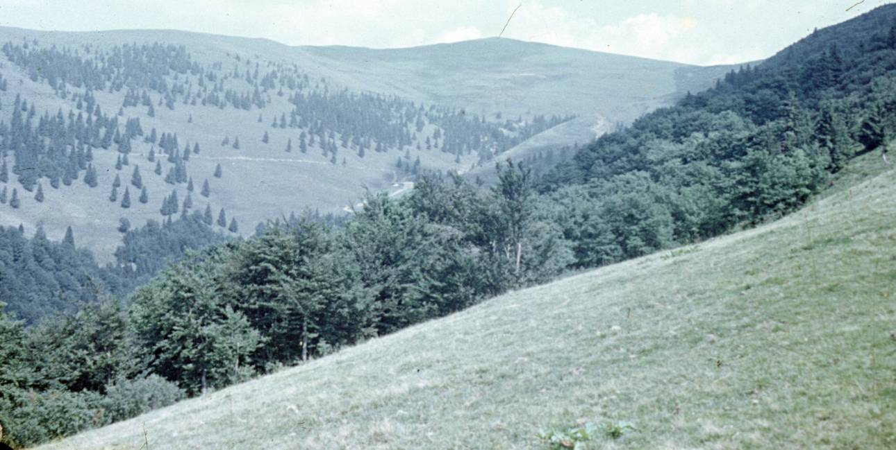 085.jpg