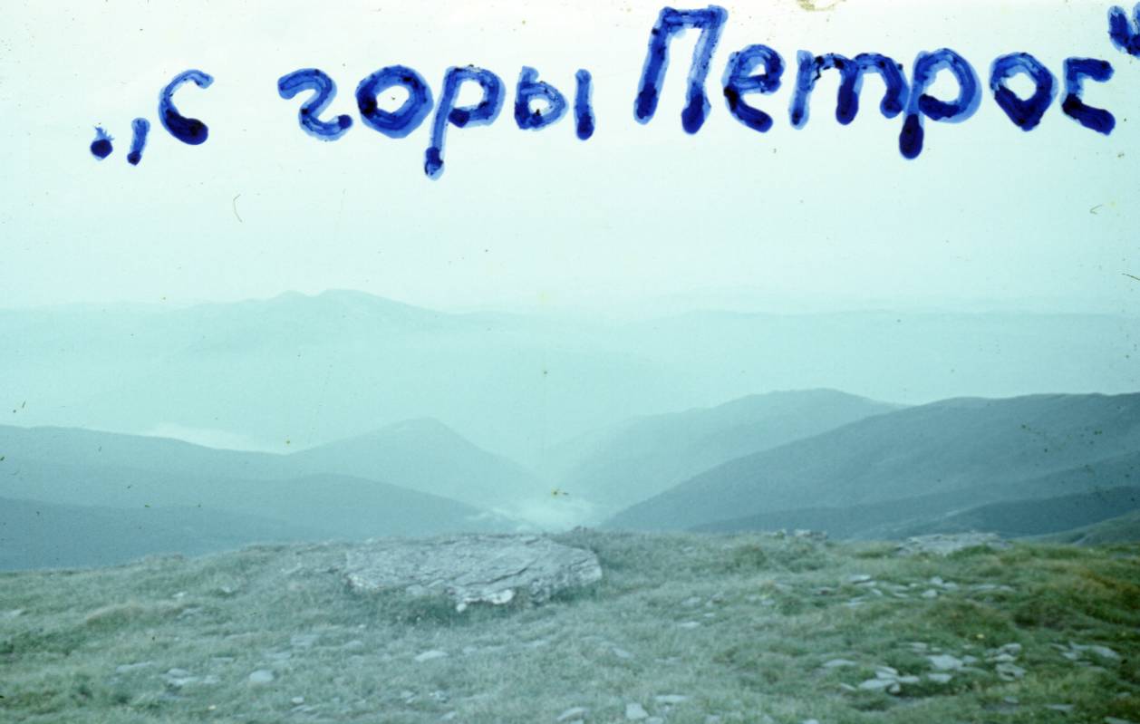 118.jpg