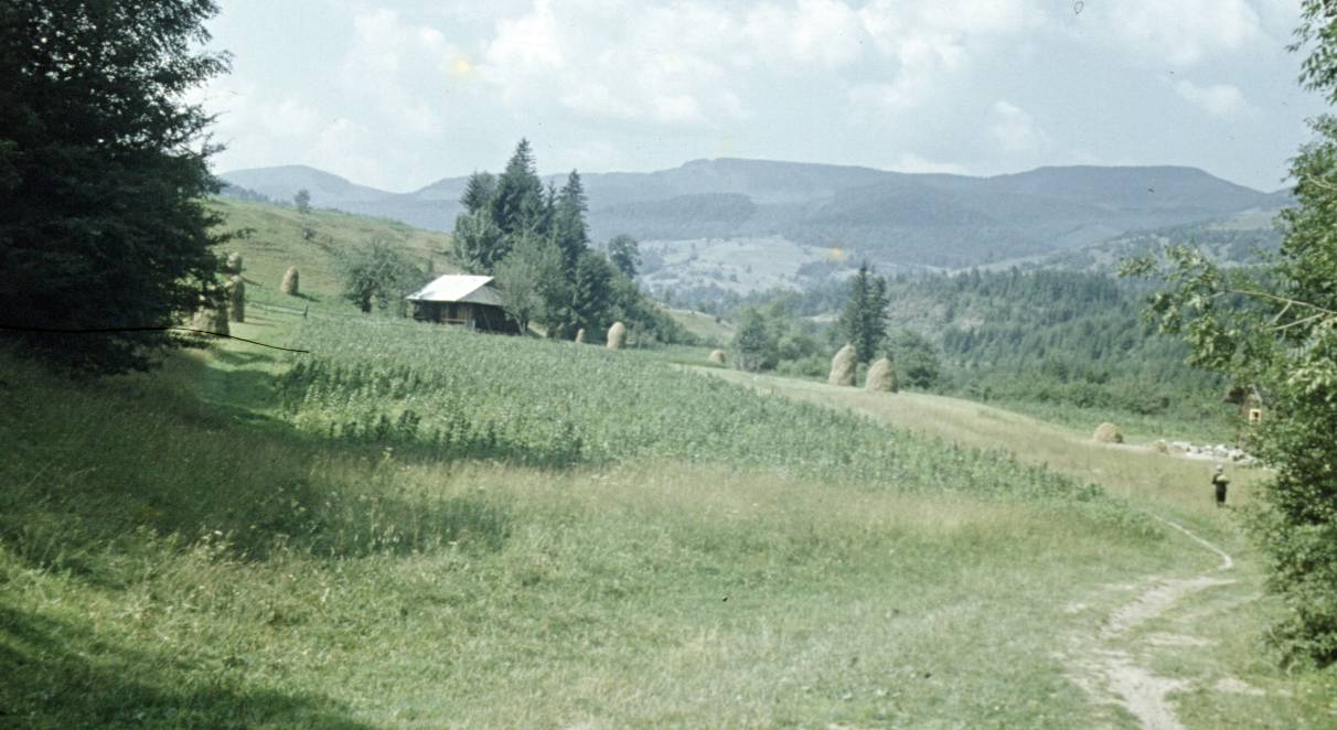 120.jpg