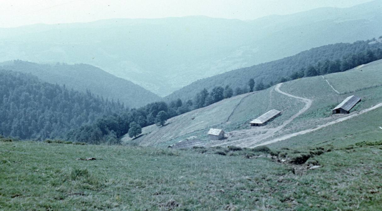 124.jpg