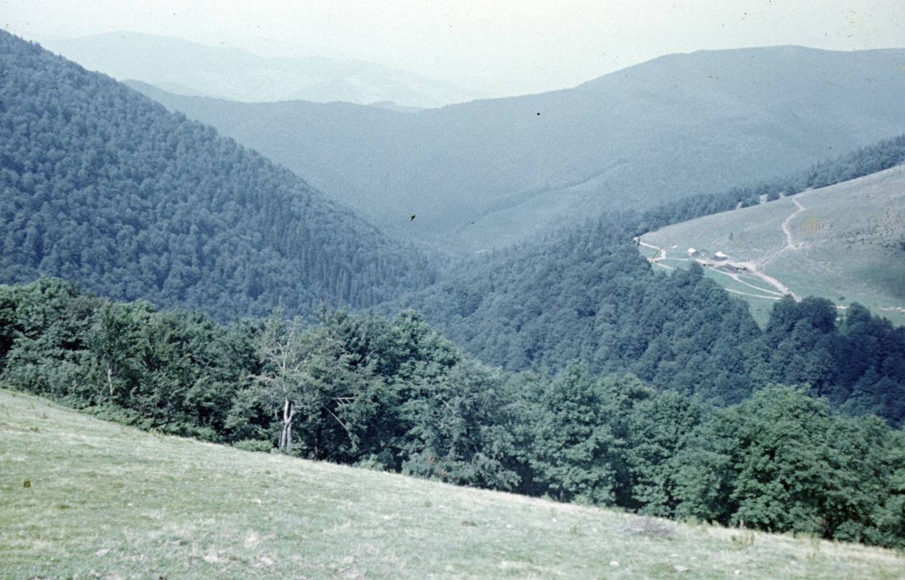 136.jpg