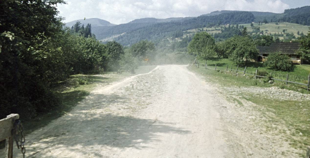 137.jpg
