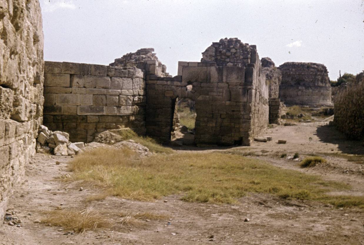 106.jpg