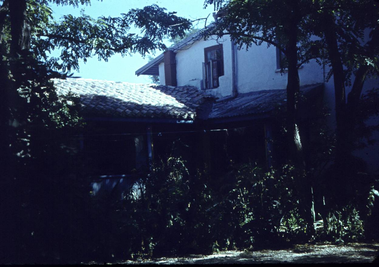 143.jpg