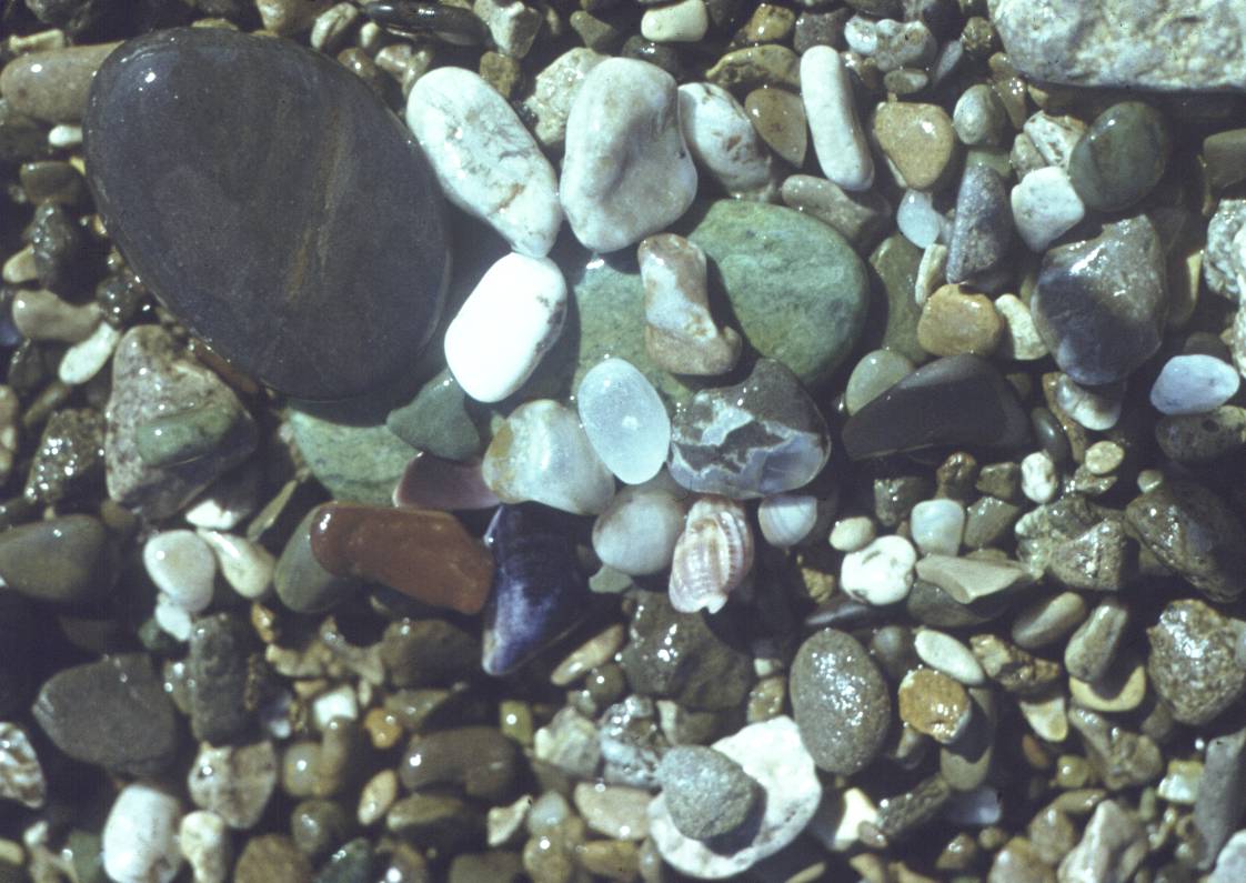169.jpg