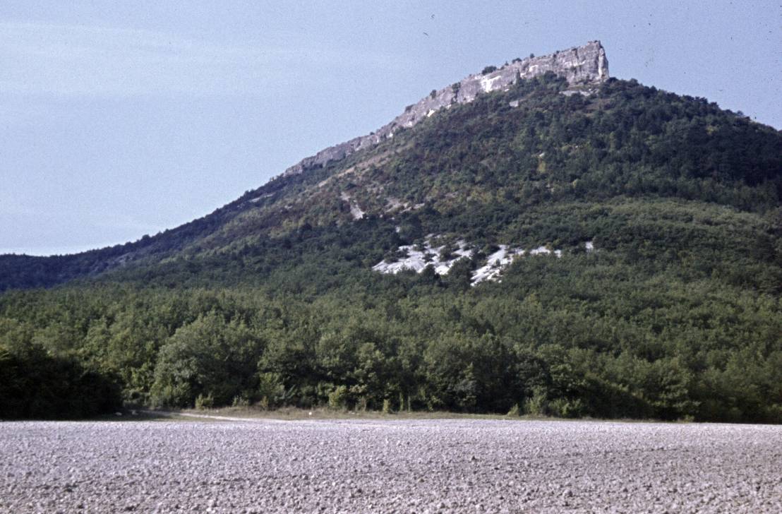 062.jpg