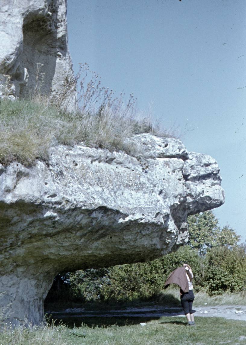 064.jpg