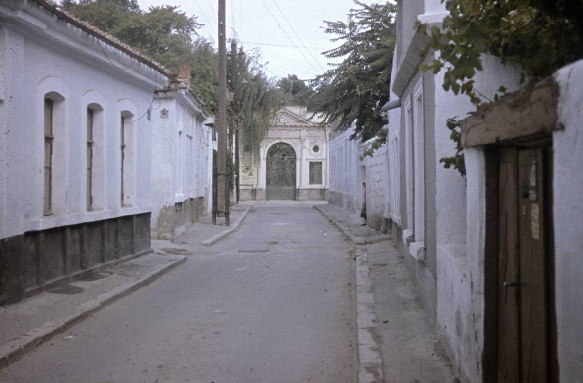 103.jpg