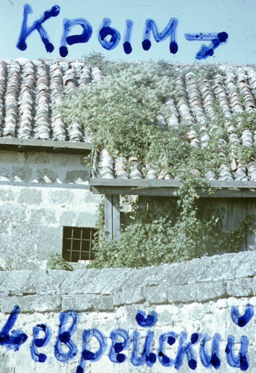 110.jpg