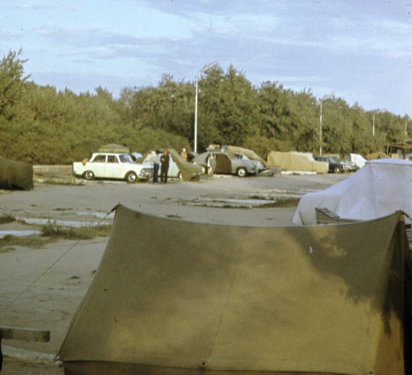 015.JPG