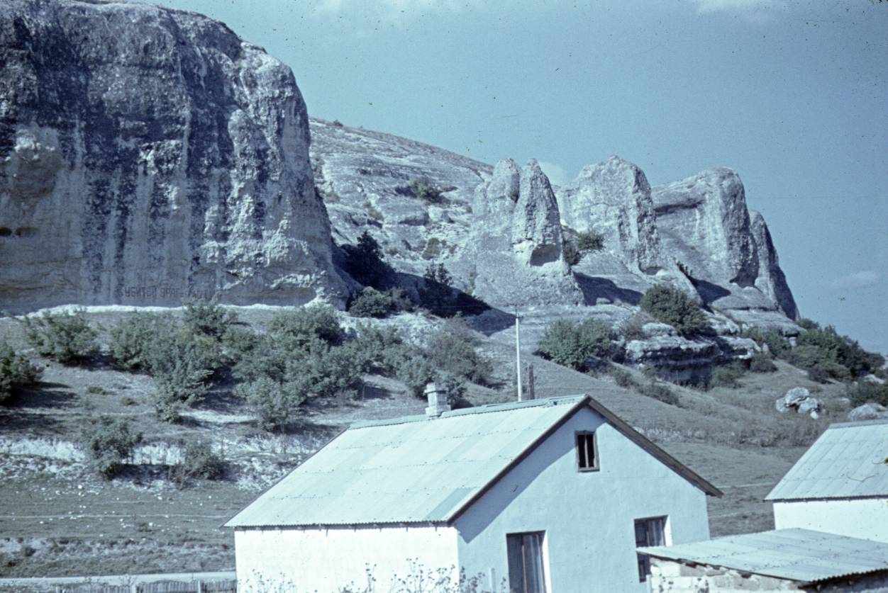 036.JPG