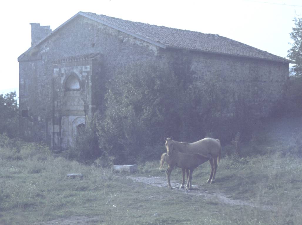 050.JPG