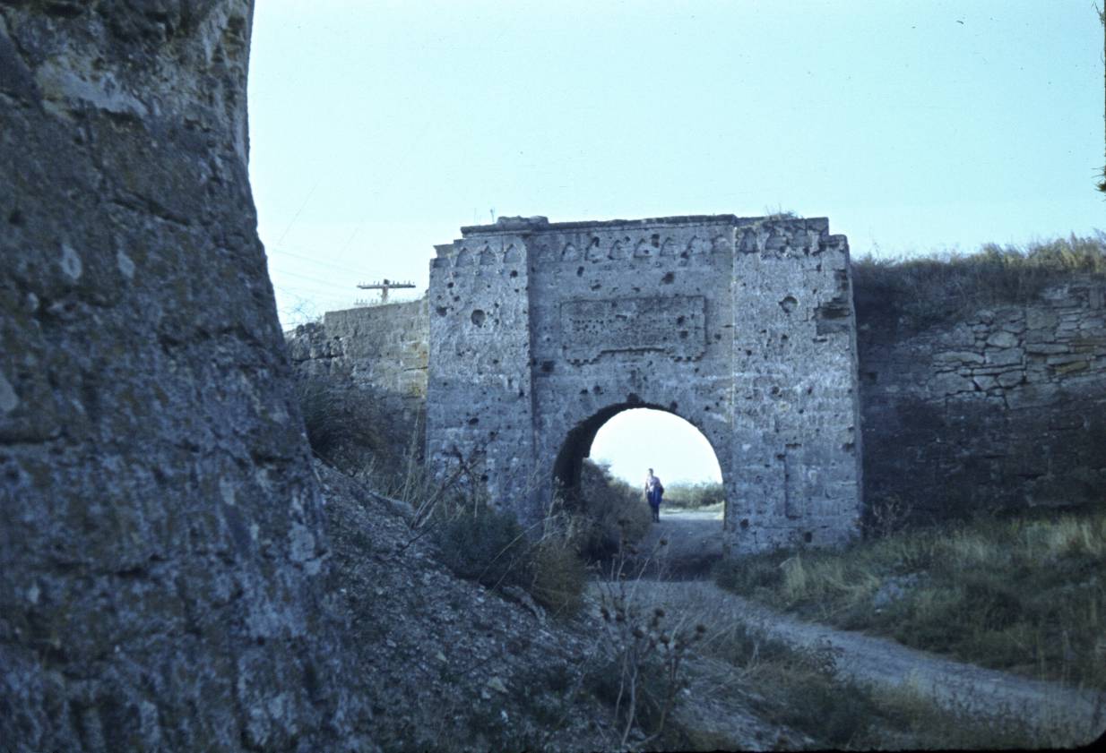 103.JPG