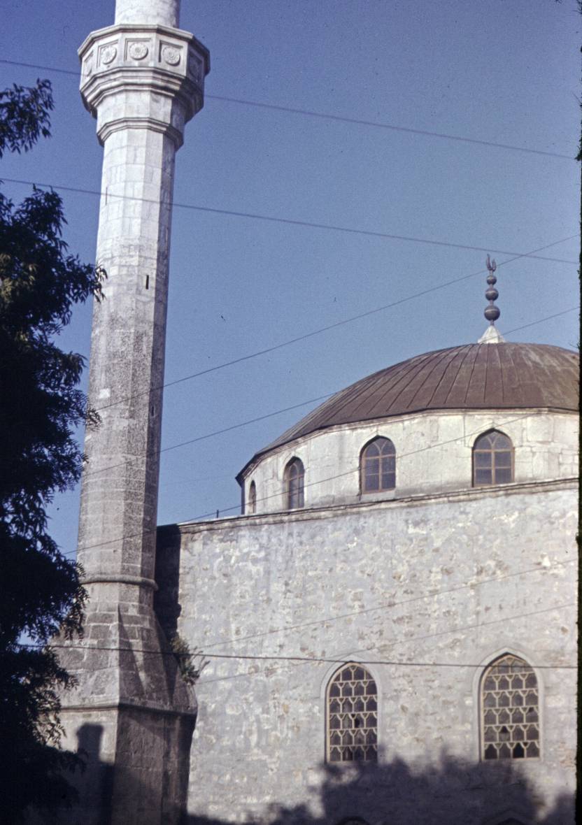 113.JPG